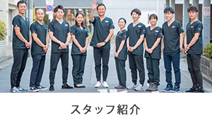 スタッフ紹介