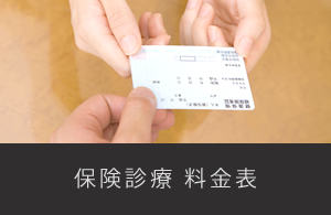 保健診療 料金表