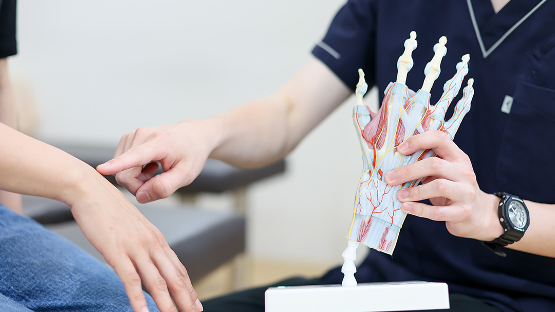 肘部管と尺骨神経の図解