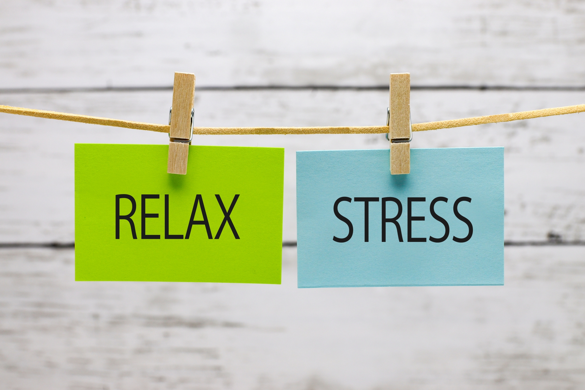 自律神経のバランスを表す図(交感神経と副交感神経のイラスト)